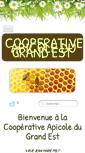 Mobile Screenshot of coopapimetz.com